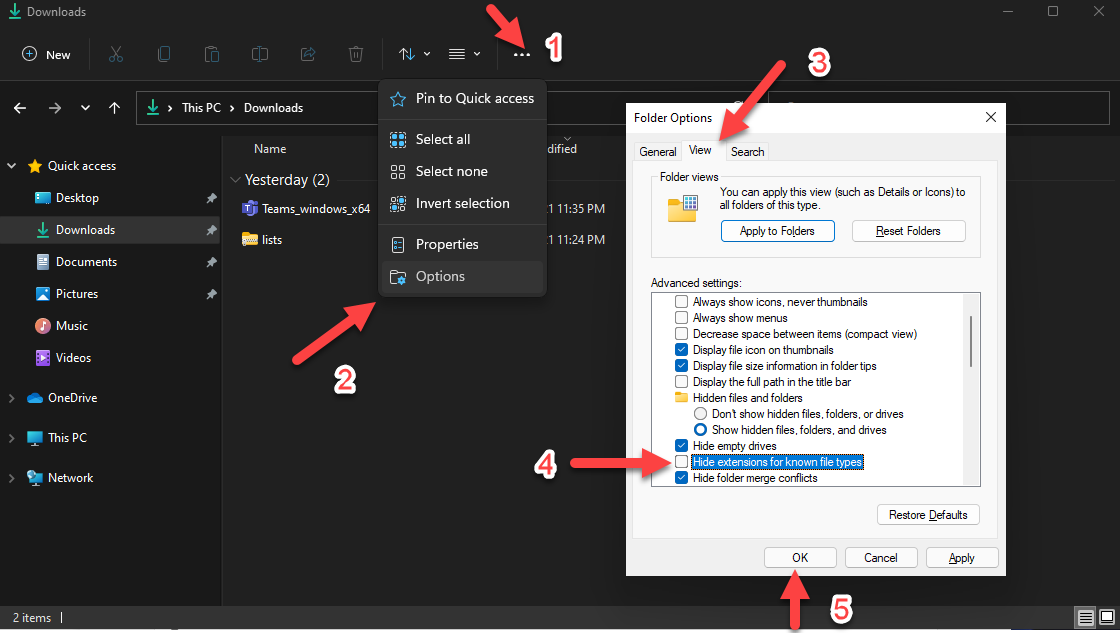 Show Windows 11 file extensions